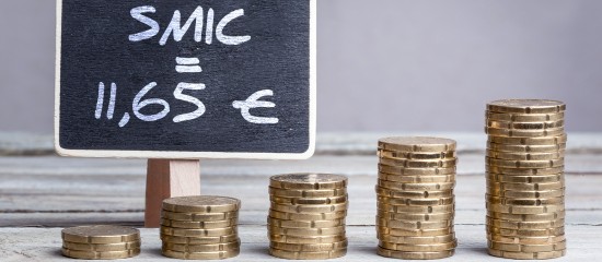 Le Smic fixé à 11,65 € en 2024 - Cappin
